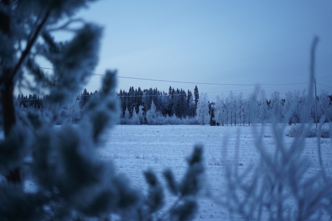 Winter